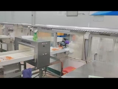 Máquina de raios-X para a Indústria Alimentar com Sistema de Rejeição de Produtos em Alumínio