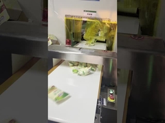 Detector de metais de transporte automático Segurança dos alimentos para linha de embalagem, 300 * 150mm Tamanho do túnel