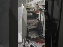 Safeline radiografa sistemas de inspeção de SystemsX-Ray da inspeção para produtos empacotados