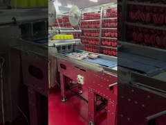 Máquina de raios X para a Indústria Alimentar homologada HACCP