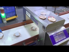 Transportador automático Detector de metais industrial de qualidade alimentar Equipamento de segurança Máquina personalizada OEM