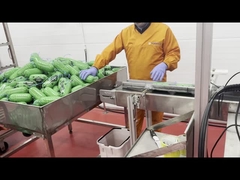 Máquina de raios X para alimentos
