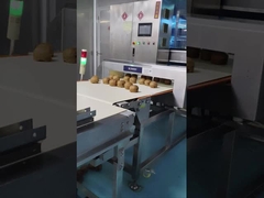 Detector de metais de transporte automático de 0,5 mm Sensitividade Inspecção de matérias-primas alimentares / cosméticas