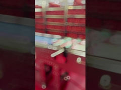 Máquina de detecção de objetos estranhos para inspecção de raios X de alimentos industriais