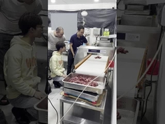 Detector de metais do produto comestível