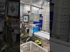 Máquina de inspecção de raios X de produtos alimentares húmidos e secos para a indústria