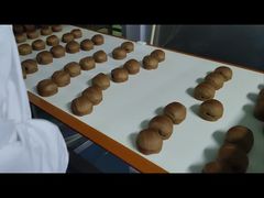 Detector de Metais com Resolução de 0,01g para Processamento de Alimentos Protege seus Produtos Contra Contaminação por Metal