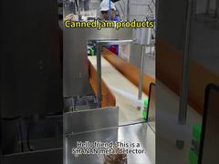 Veja Por Que Escolher o Detector de Metais para Alimentos SHANAN Security Inspection Com Peso Leve