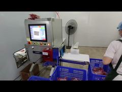 Máquina industrial de inspeção de raios X para alimentos para controle de qualidade